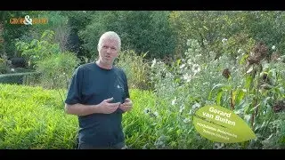 Zaden oogsten en opnieuw zaaien