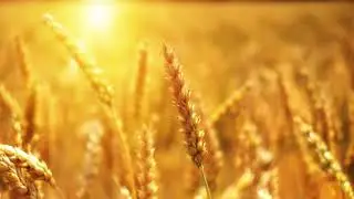 🎶Himn na Velikata Dusha🧘Meditation music☀️Peter Deunov🇧🇬Химн на Великата Душа