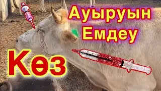 Катаракт ауруы. Көзге ақ түсу, ноқаланы емдеу тәсілі.