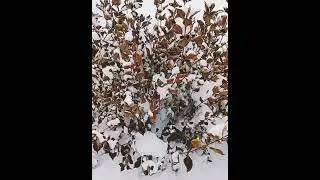 #песнидлядуши 