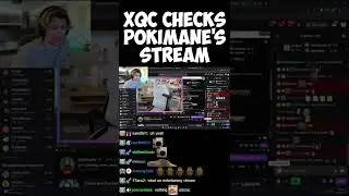 xQc checks Pokimane's stream