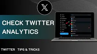 How To Check Twitter Analytics In 2024 | Check X Profile Analytics