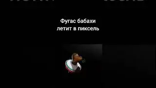 #meme