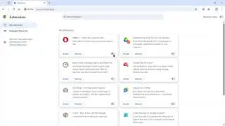 How to view Google Chrome extensions from the main menu 🔍