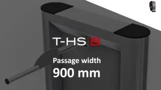 T-HS B. Pure innovation.