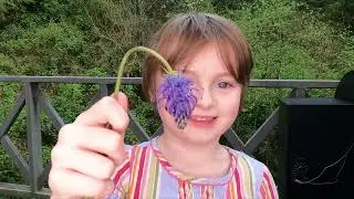 A 5 year old's YouTube audition tape. Cuteness overload.