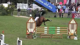 Amiral d'Eole - Championnat de France des Hongres et Mâles de 5 ans Fontainebleau