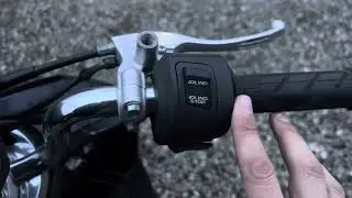 Honda Dunk в сравнении с Honda Tact 79