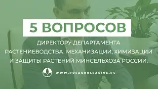 Роман Некрасов