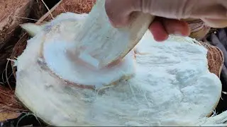 petualangan menelusuri area tambak