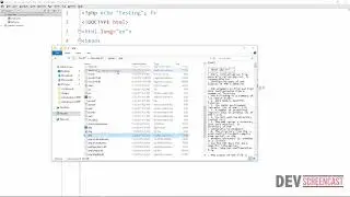 PHP Script Tag