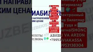 АВИБИЛЕТЫ +79953138304 #automobile #youtube #avto #tiktok #дуэт #avtotuning #rek #avtomobillar