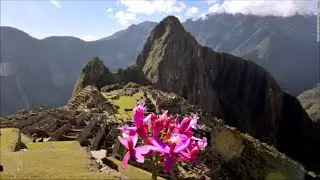 Angel García - Sumaq Wayta (Trailer).