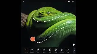 Photo Moving - Photo To GIF New App