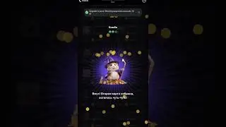 06.06.2024 Hamster combat kombo #automobile #bgm #love #music #rec #rek #bekkhan_khurramov_ #kpop
