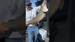 OMG! We caught a MASSIVE TROUT!