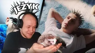 Metal słucha rapu - OKI - JEŻYK 🦔