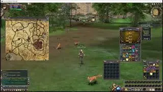 Ласт Хаос или моя любимая игра! [Last Chaos общалка-фарм]