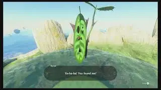 OnlyGameplay Ep. 94 | Tears of the Kingdom Pt. 21 | Great Sky Island Korok Hunt