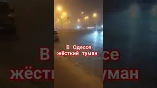 сегодня туманно