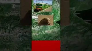 Проверка умных и тупых за одну минуту ...