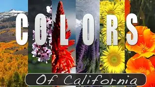 Colors of California