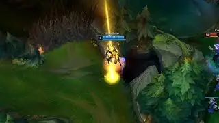 PQP
