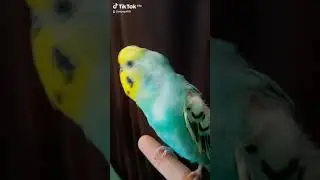 когда сидишь на кухне!