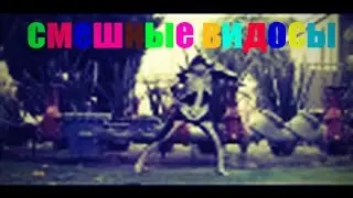 Смешные видосы- Клей