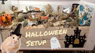 Halloween Hamster Cage Setup 2024