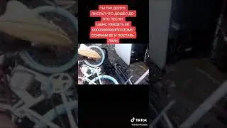 Песня для котов)