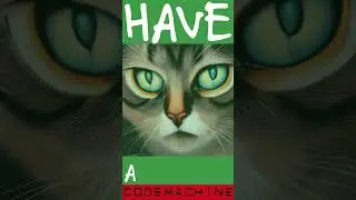 Have a nice cat