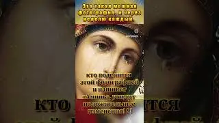 7 сентября 2024 г.