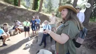 Delphi: 206 Tours Pilgrimage to Greece