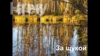 За щукой Осень 2013
