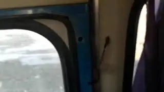 В Якутске вот так расхажевают за городом медведи