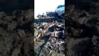 буксировка комбайна TORUM   mp4