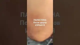 9 октября 2023 г.