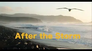 After the Storm - 8K | Canon EOS R5