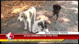 ΑΔΕΣΠΟΤΑ ΝΕΟ ΚΕΡΑΜΙΔΙ 31/7/2015