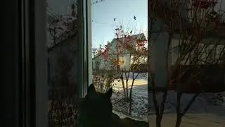 Погожий денёк.