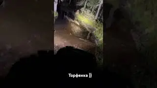 Торфяная дорога в глухом лесу !)) 