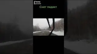 Снег, зима пришла