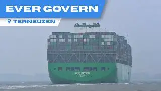 EVERGREEN MEGAMAX EVER GOVERN on the Western Scheldt.