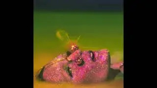 [FREE] Brent Faiyaz x 4batz Type Beat | "Secrets"