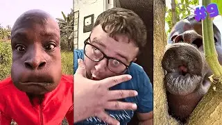 ДНО ТИК ТОКА #9 | ПОЧЕМУ ДЕЛАЮТ ОНИ, А СТЫДНО МНЕ ?