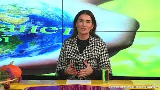 Сьогодні в моді коренеплоди