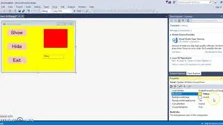 Programming an exit button, show hide buttons and a label in Visual basic