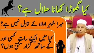 Kya ghoda (horse) khana halal hai? sawal jawab | Maulana Makki Al Hijazi Islamic YouTube