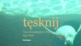 Taco Hemingway x Pezet - Tęsknij | keyteepee type beat